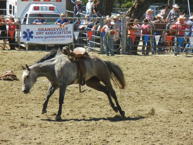 Bucking bronco